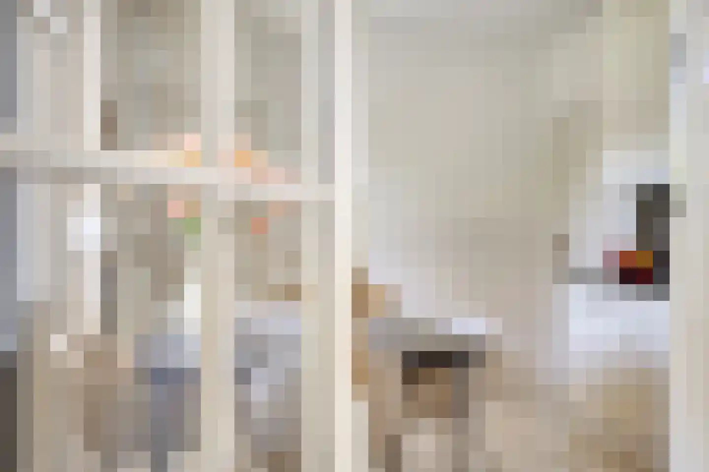 Poelsnip 44 Budel-Schoot thumbnail 10