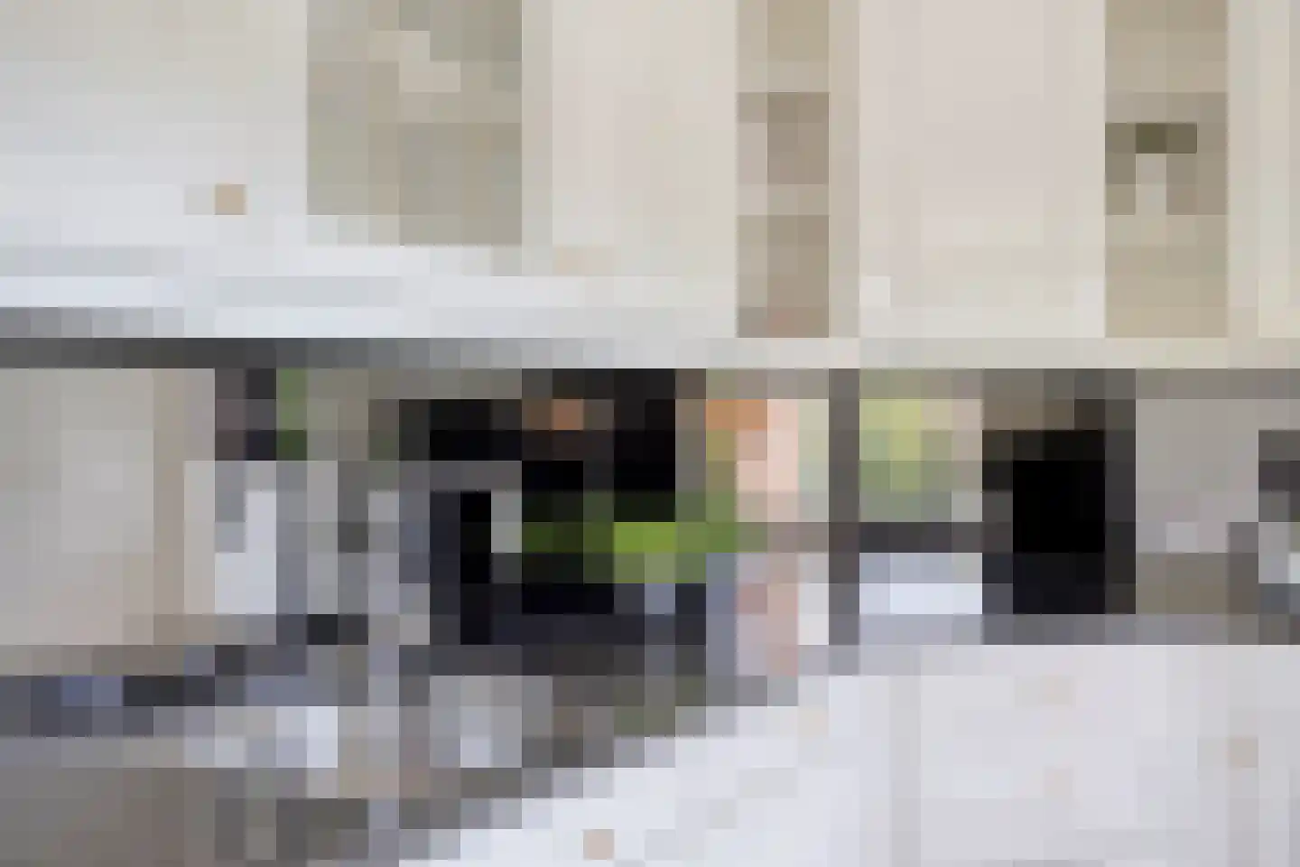 Poelsnip 44 Budel-Schoot thumbnail 12
