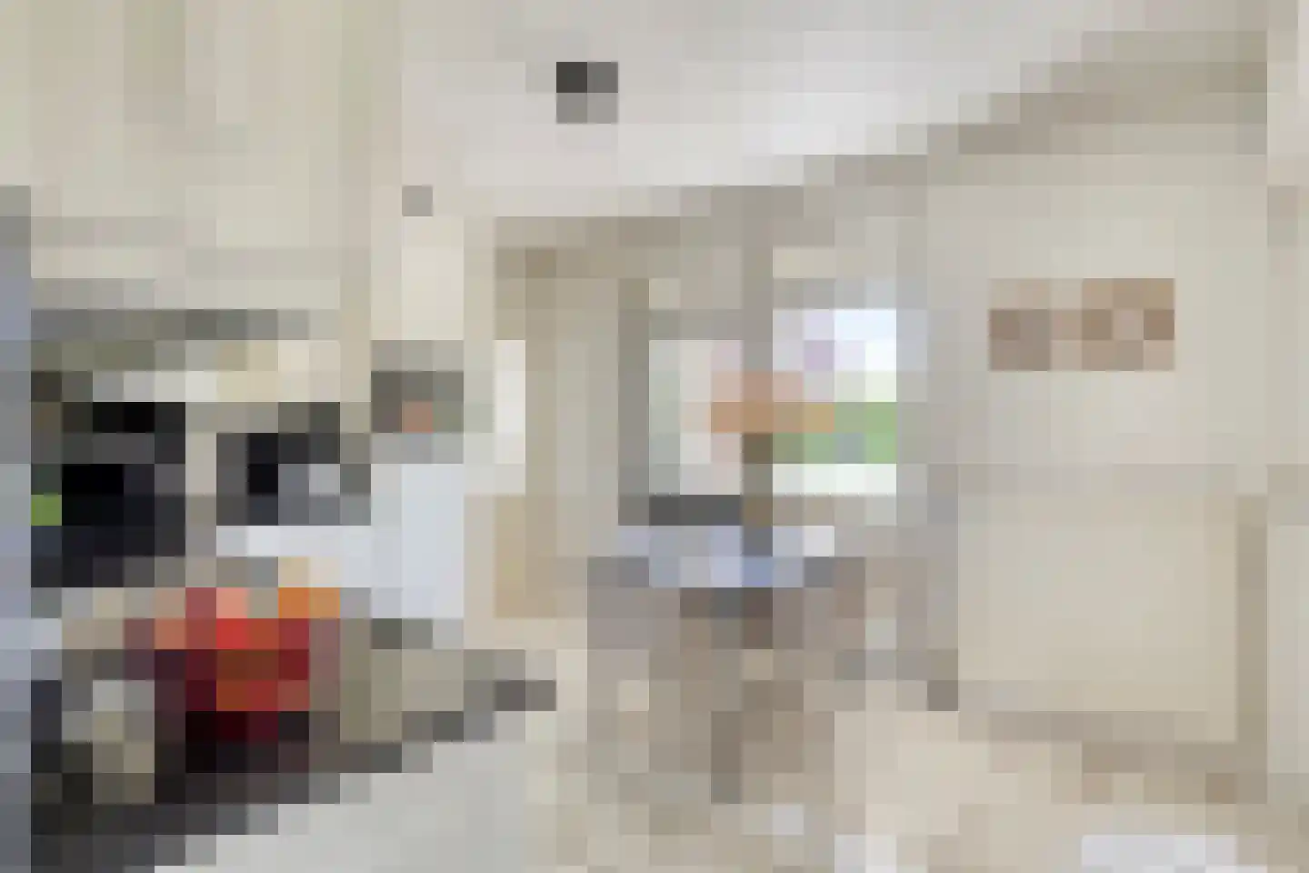Poelsnip 44 Budel-Schoot thumbnail 13