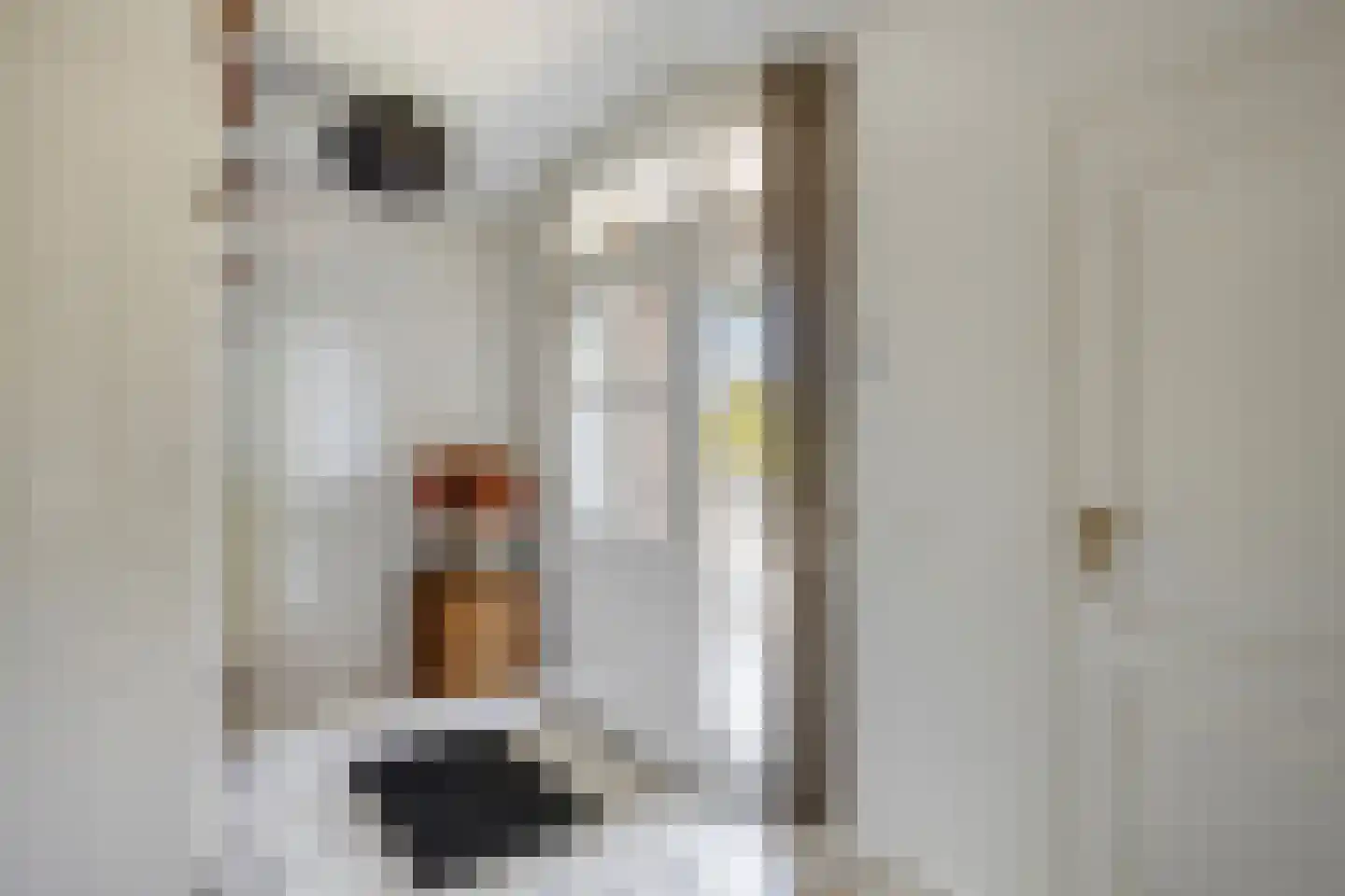 Poelsnip 44 Budel-Schoot thumbnail 15