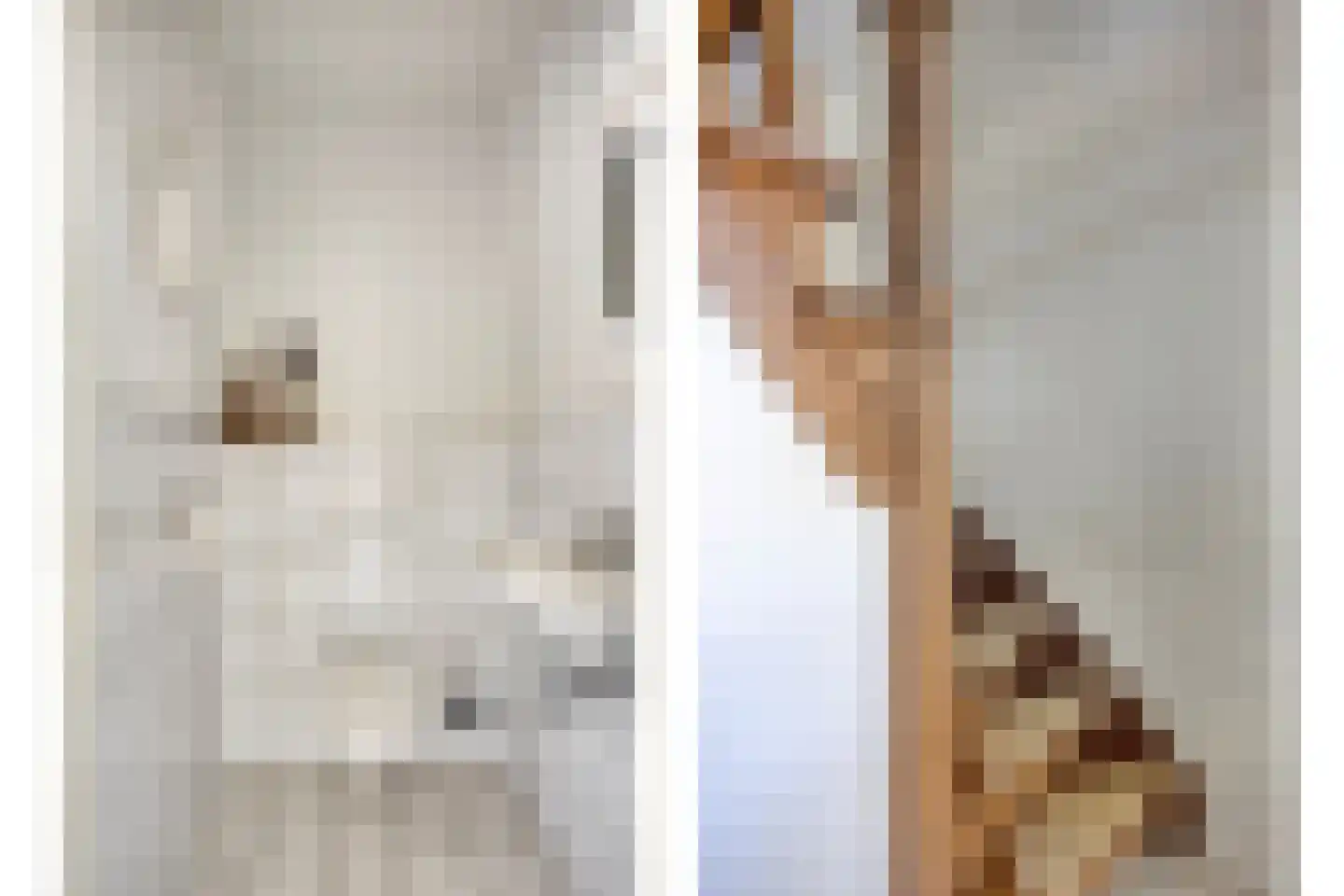 Poelsnip 44 Budel-Schoot thumbnail 17