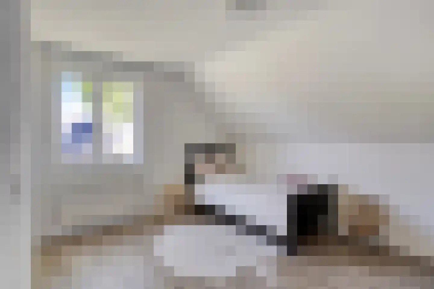 Poelsnip 44 Budel-Schoot thumbnail 23