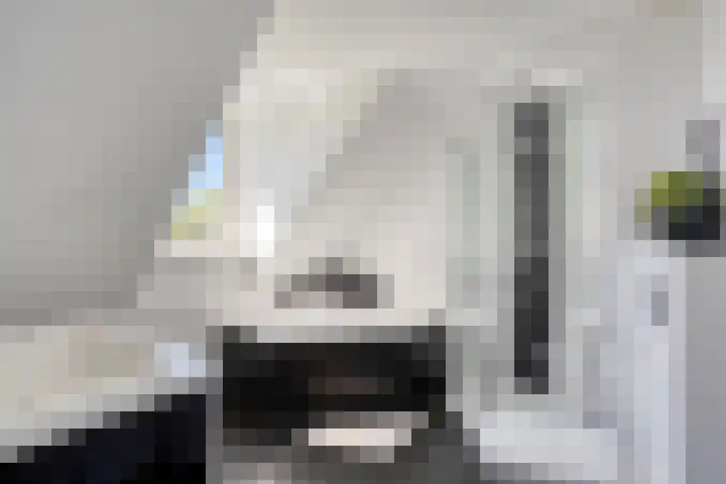 Poelsnip 44 Budel-Schoot thumbnail 26