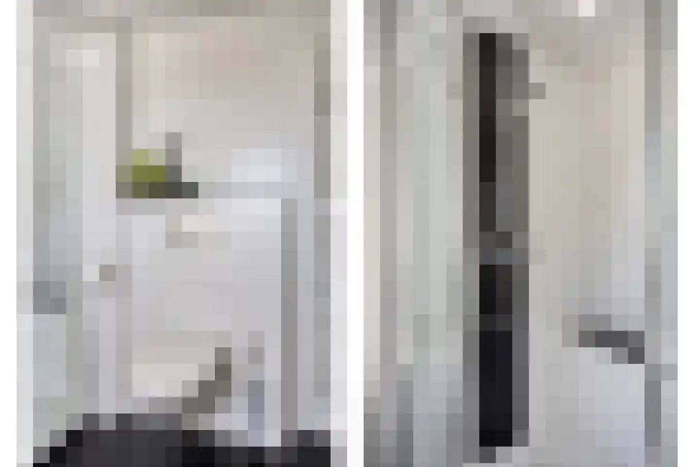 Poelsnip 44 Budel-Schoot thumbnail 28
