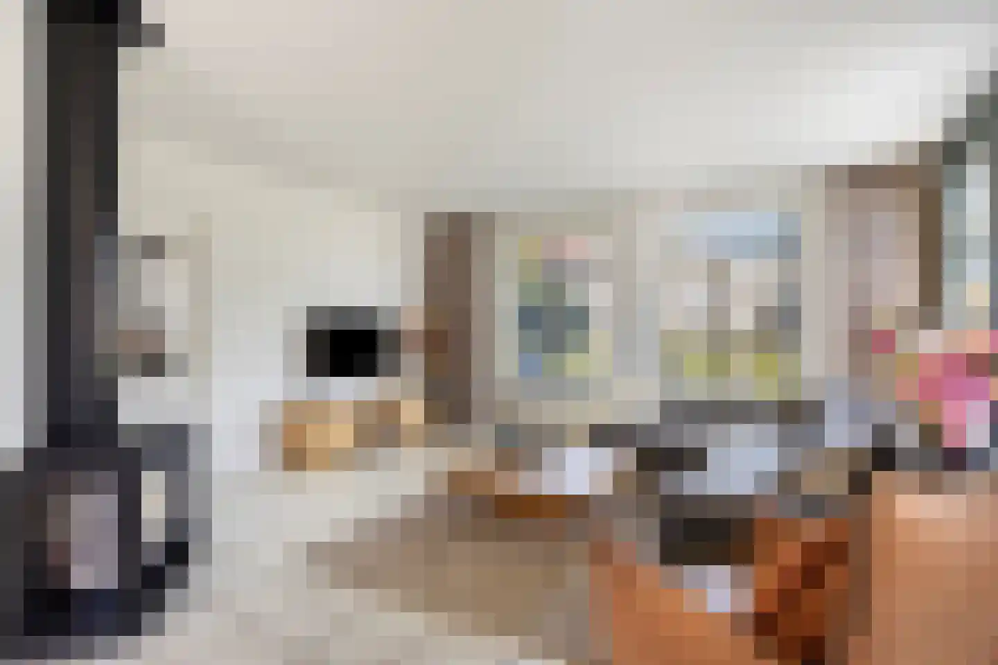 Poelsnip 44 Budel-Schoot foto 3