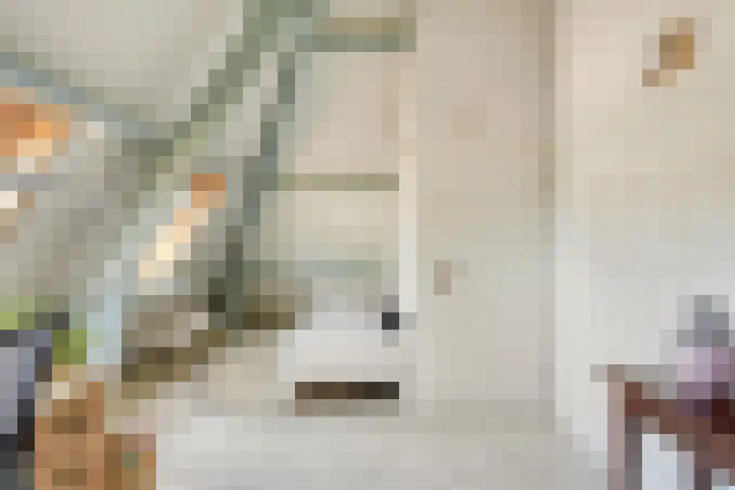 Poelsnip 44 Budel-Schoot thumbnail 30