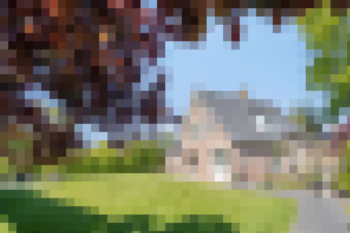 Poelsnip 44 Budel-Schoot thumbnail 35