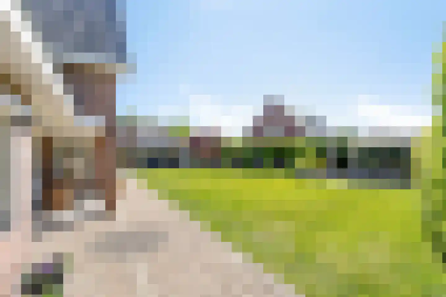 Poelsnip 44 Budel-Schoot thumbnail 37