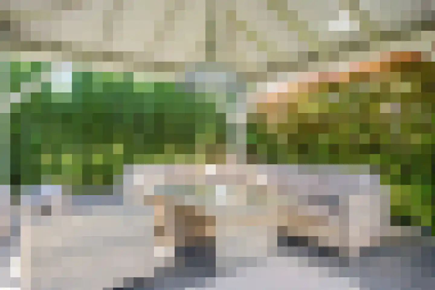 Poelsnip 44 Budel-Schoot thumbnail 40
