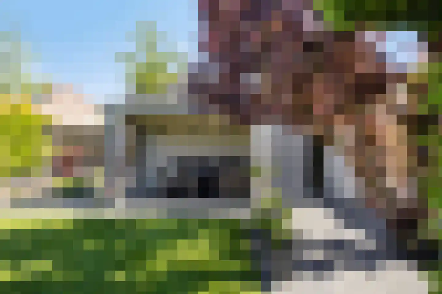 Poelsnip 44 Budel-Schoot thumbnail 41