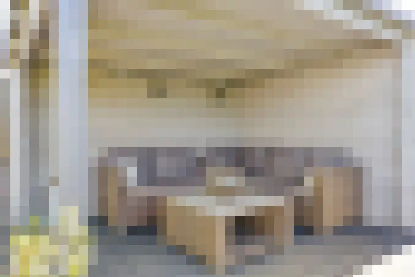 Poelsnip 44 Budel-Schoot thumbnail 42