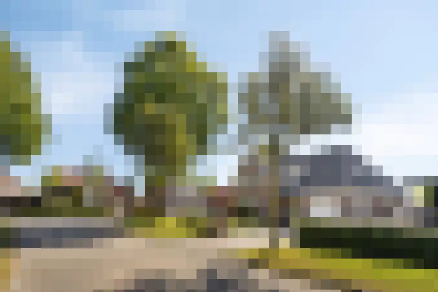 Poelsnip 44 Budel-Schoot thumbnail 44