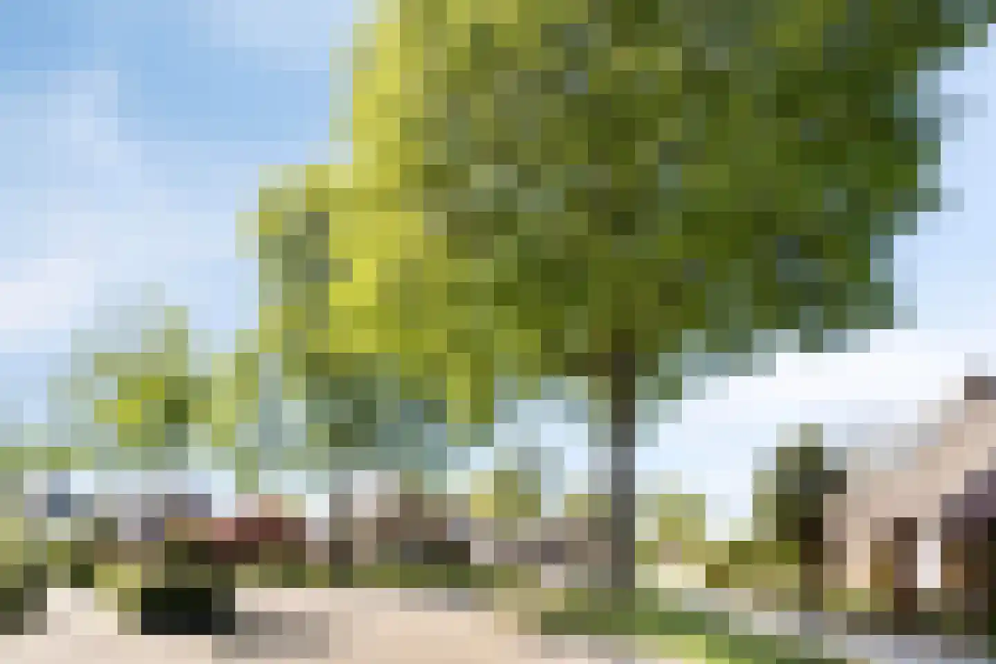 Poelsnip 44 Budel-Schoot thumbnail 45