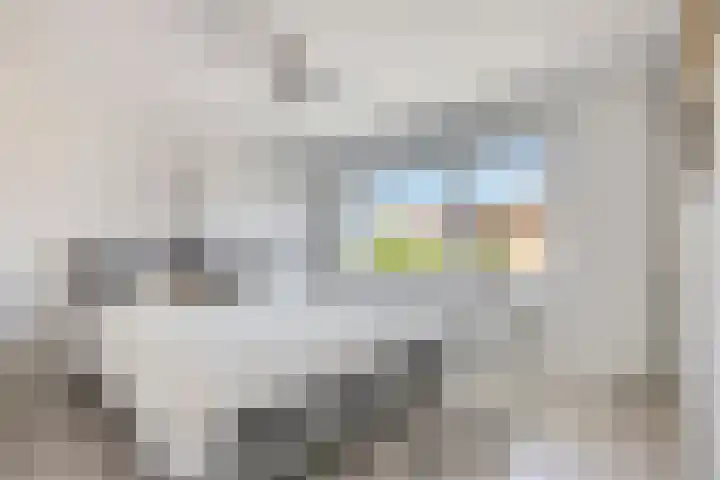 Poelsstraat 3 Westervoort thumbnail 14