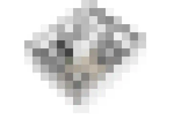 Poelsstraat 3 Westervoort thumbnail 32