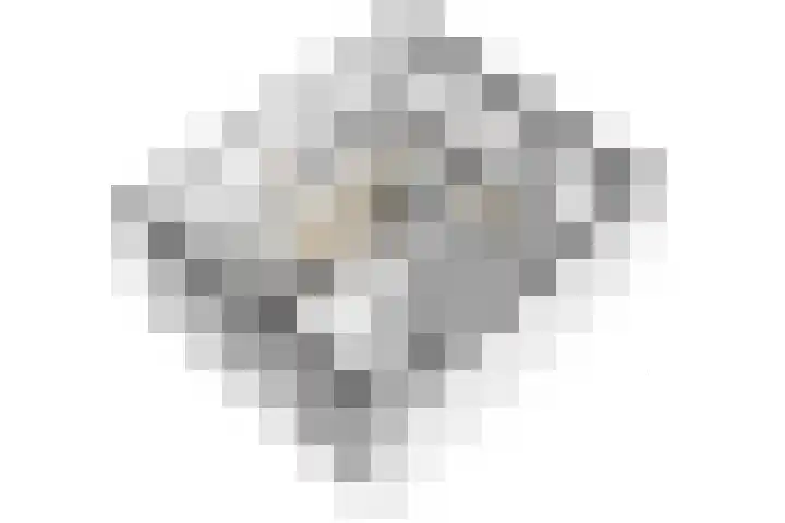 Poelsstraat 3 Westervoort thumbnail 33