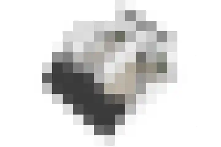 Poelsstraat 3 Westervoort thumbnail 39