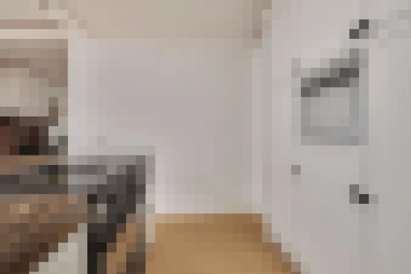 Poelstraat 11 Sas van Gent thumbnail 11