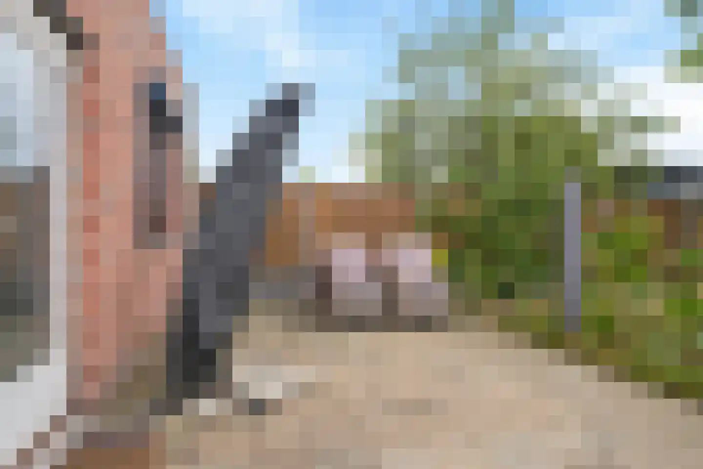 Poelstraat 11 Sas van Gent thumbnail 28