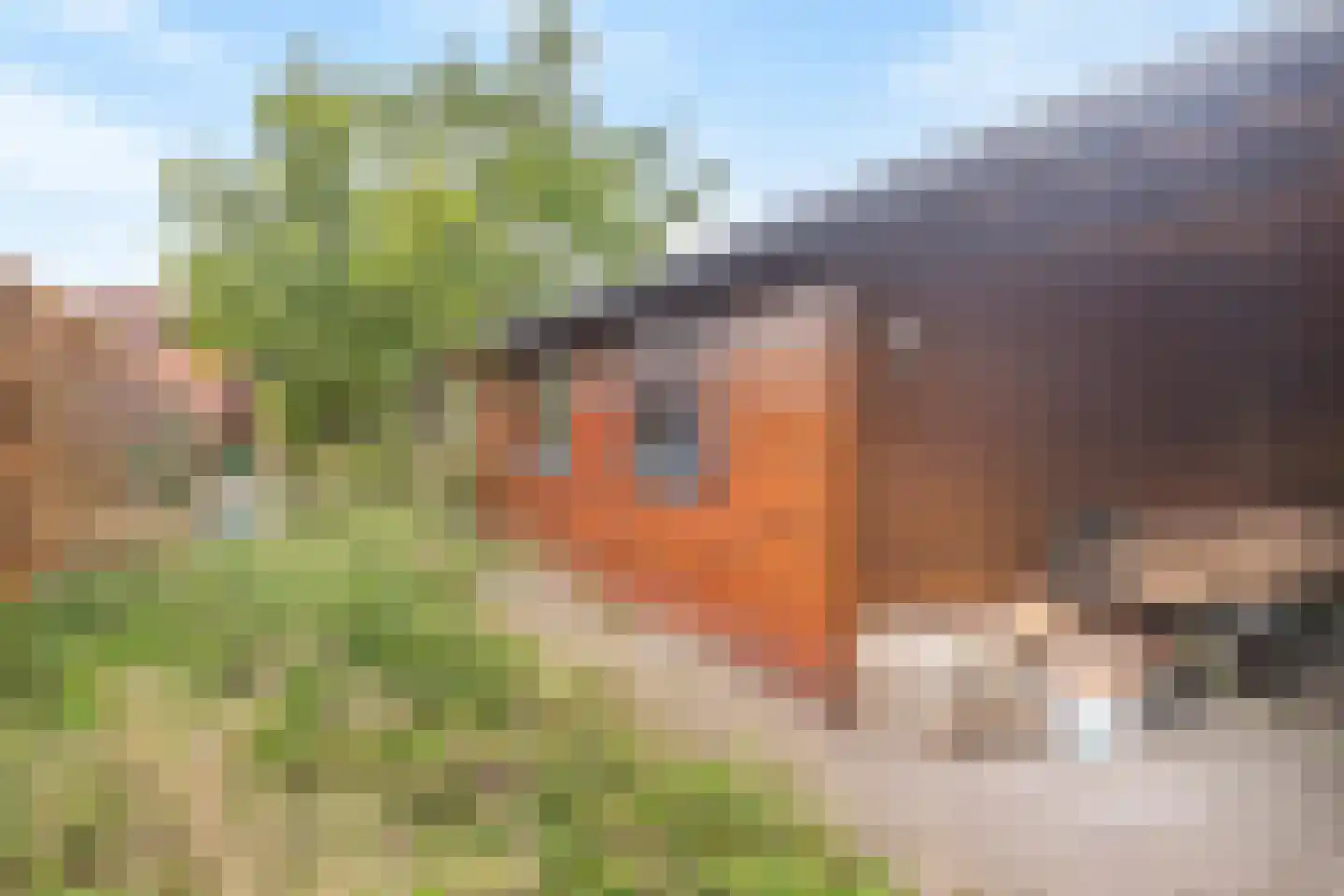 Poelstraat 11 Sas van Gent thumbnail 32