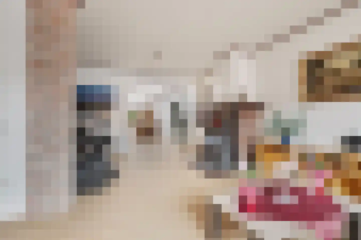 Poelstraat 11 Sas van Gent thumbnail 5