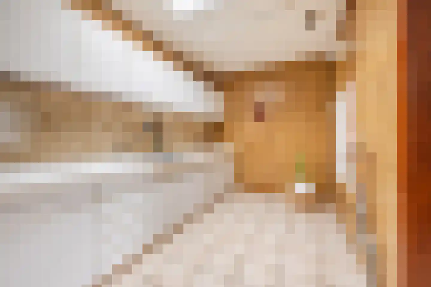Poelstraat 29 Sas van Gent thumbnail 11