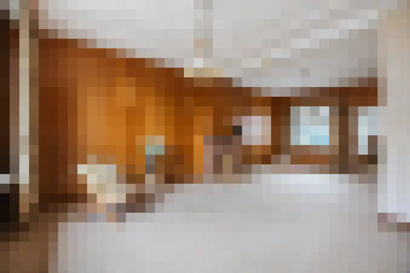 Poelstraat 29 Sas van Gent thumbnail 7
