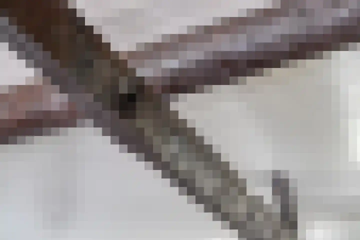 Poelstraat 5 Dieden thumbnail 10