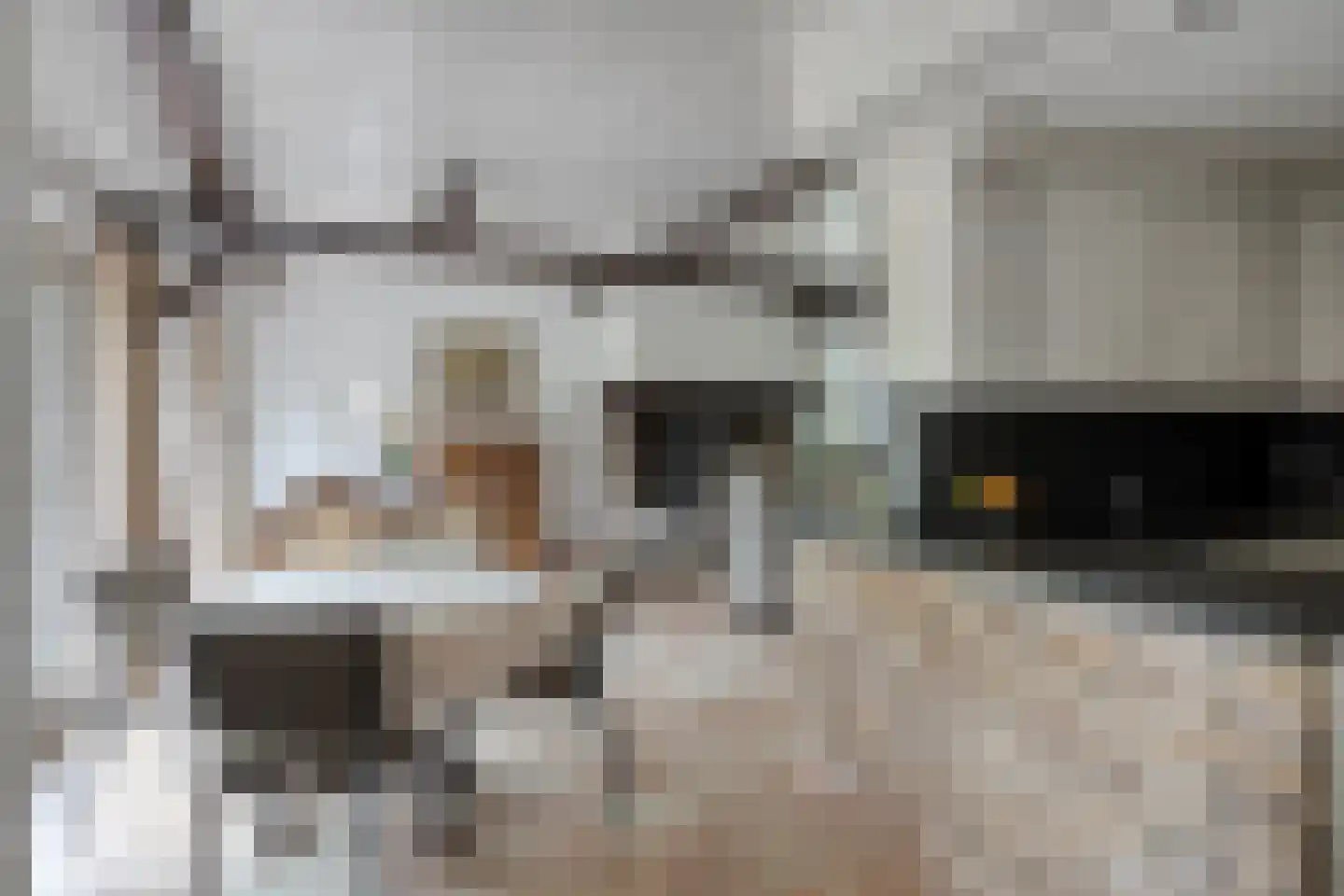 Poelstraat 5 Dieden thumbnail 11