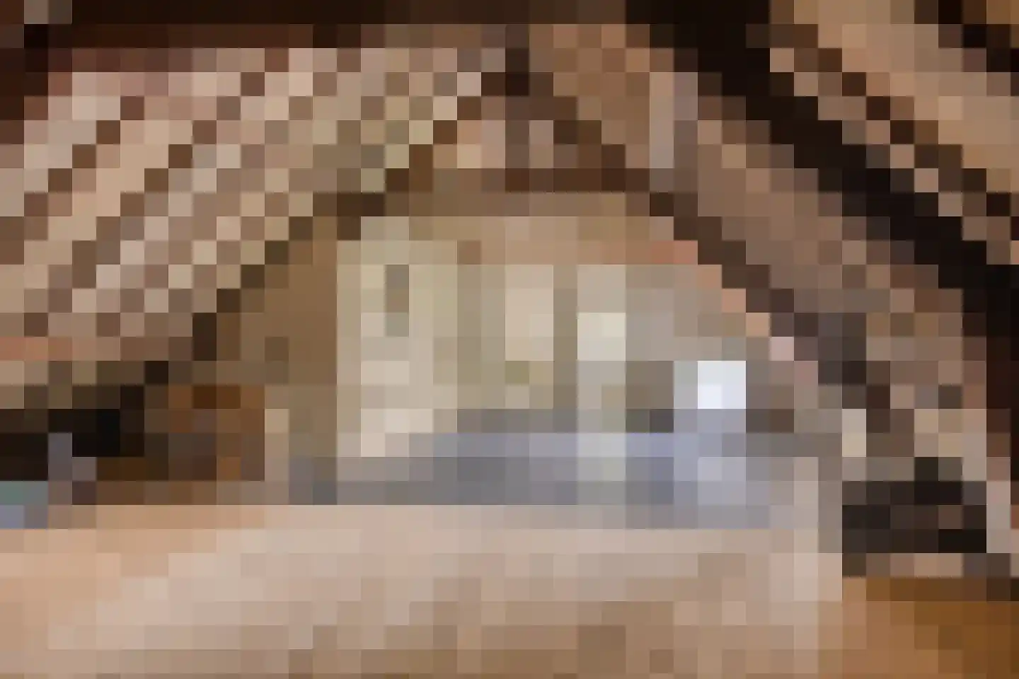 Poelstraat 5 Dieden thumbnail 24