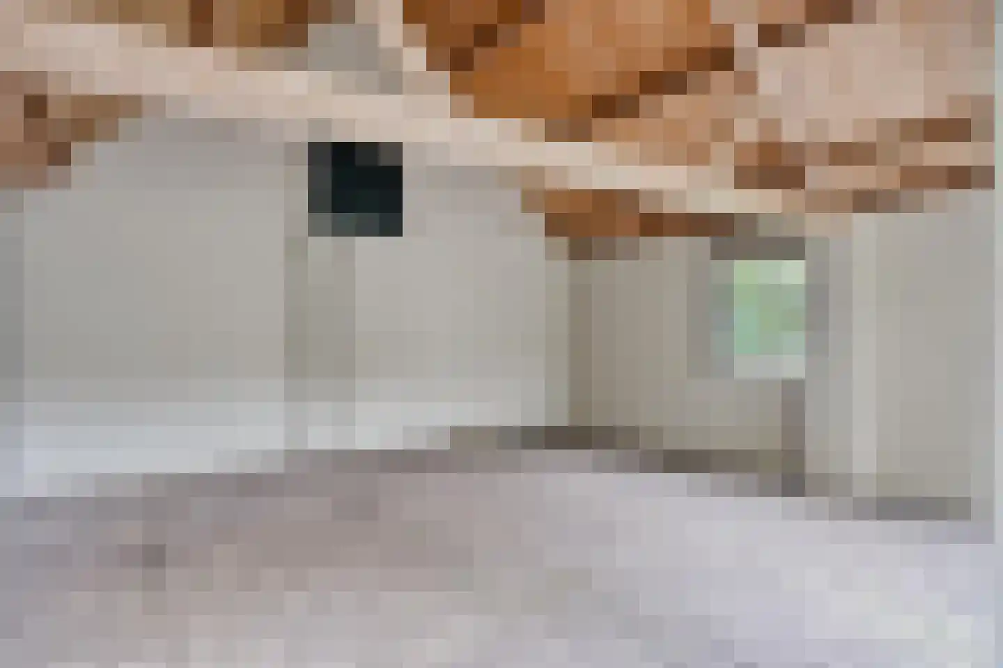 Poelstraat 5 Dieden thumbnail 25