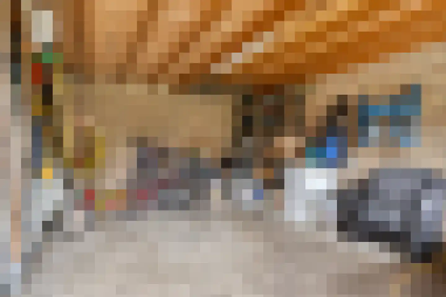 Poelstraat 5 Dieden thumbnail 28