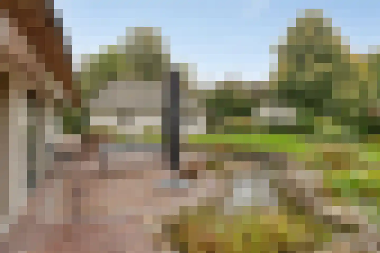 Poelstraat 5 Dieden thumbnail 29