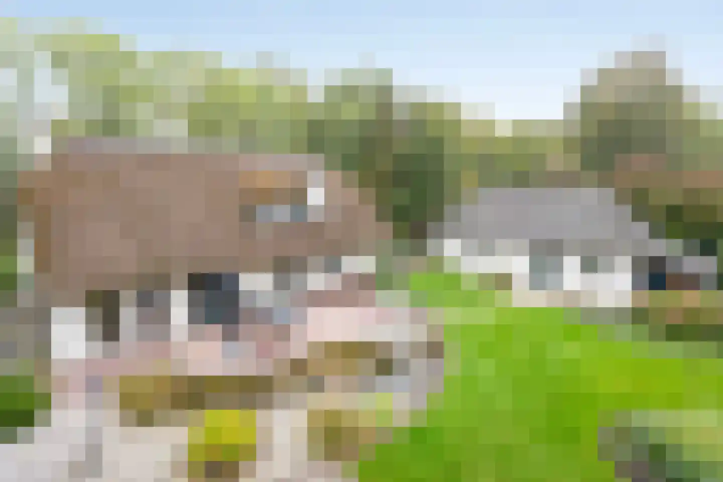 Poelstraat 5 Dieden thumbnail 31