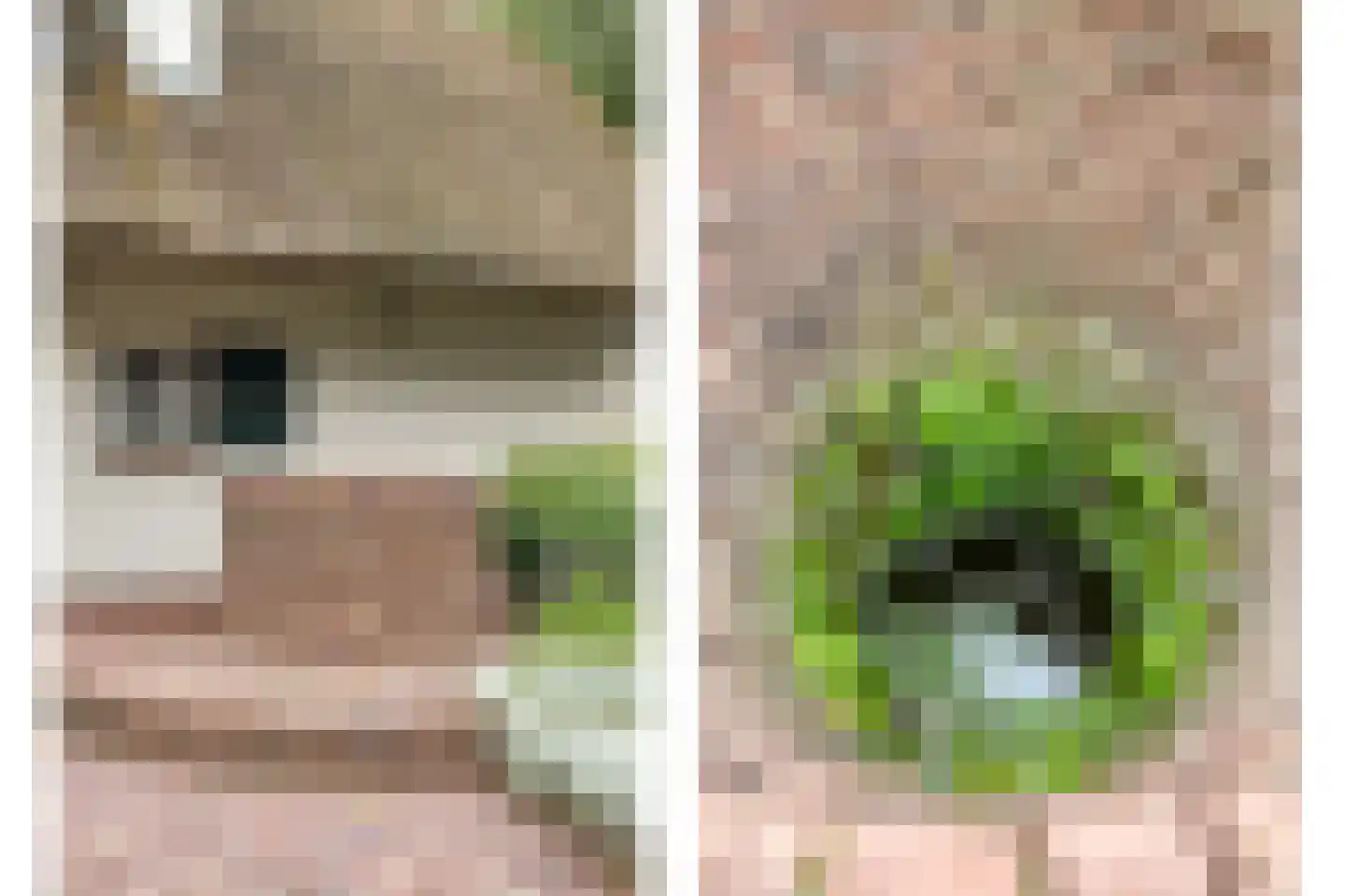 Poelstraat 5 Dieden thumbnail 32