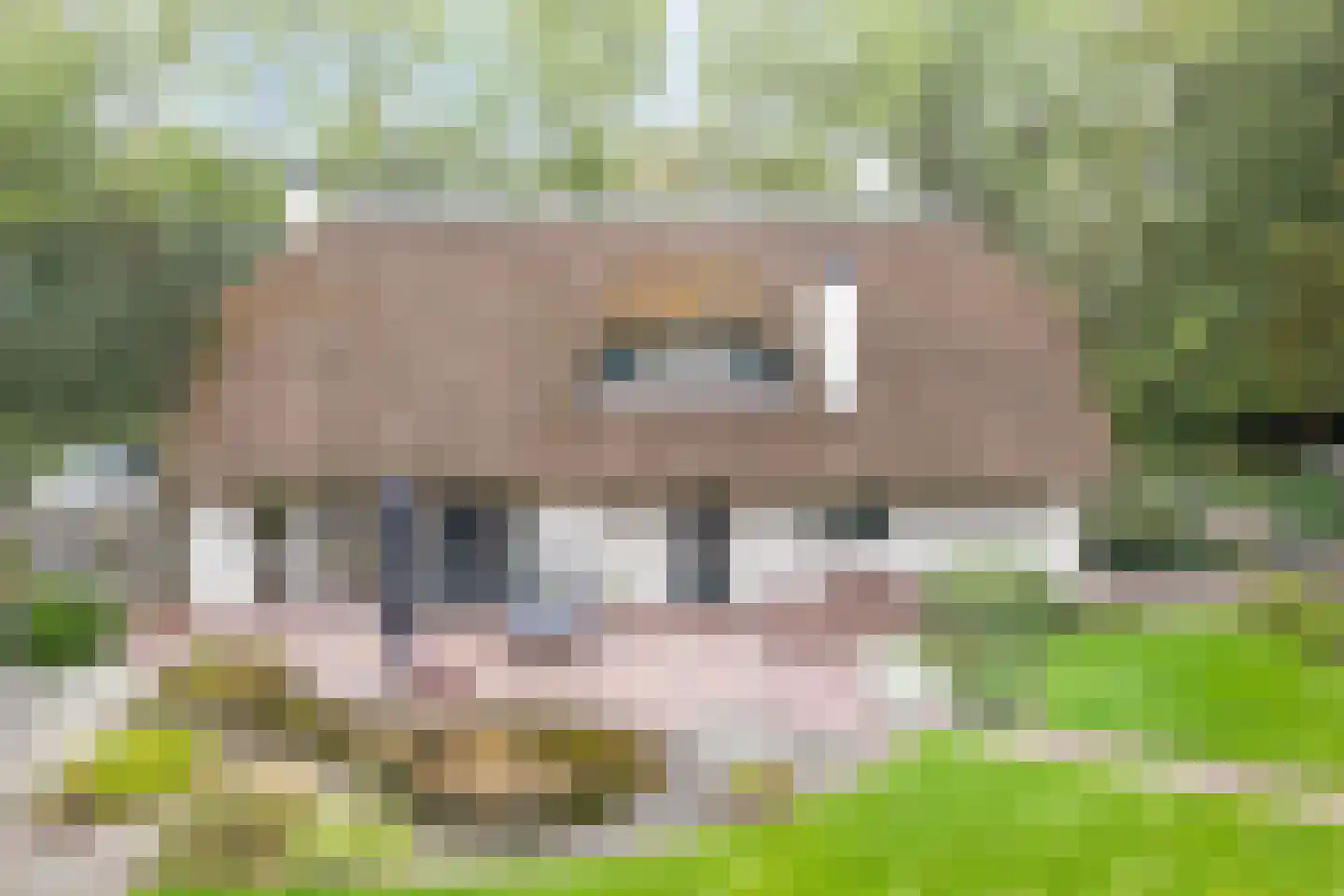 Poelstraat 5 Dieden thumbnail 33