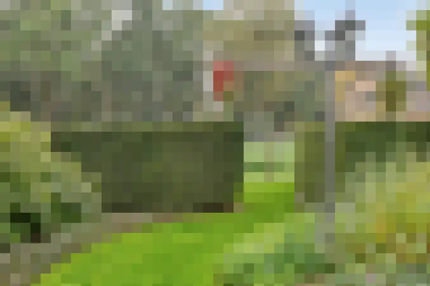 Poelstraat 5 Dieden thumbnail 34