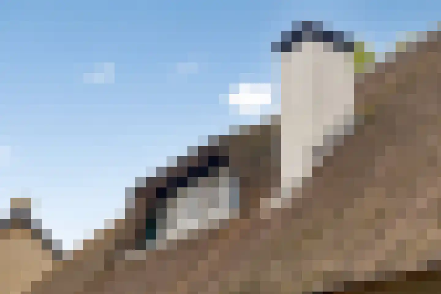 Poelstraat 5 Dieden thumbnail 37