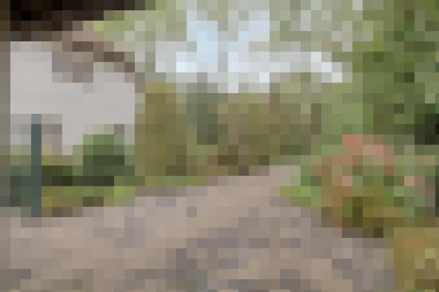 Poelstraat 5 Dieden thumbnail 38