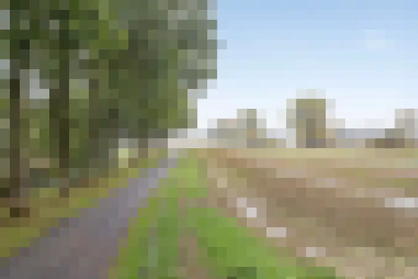 Poelstraat 5 Dieden thumbnail 41