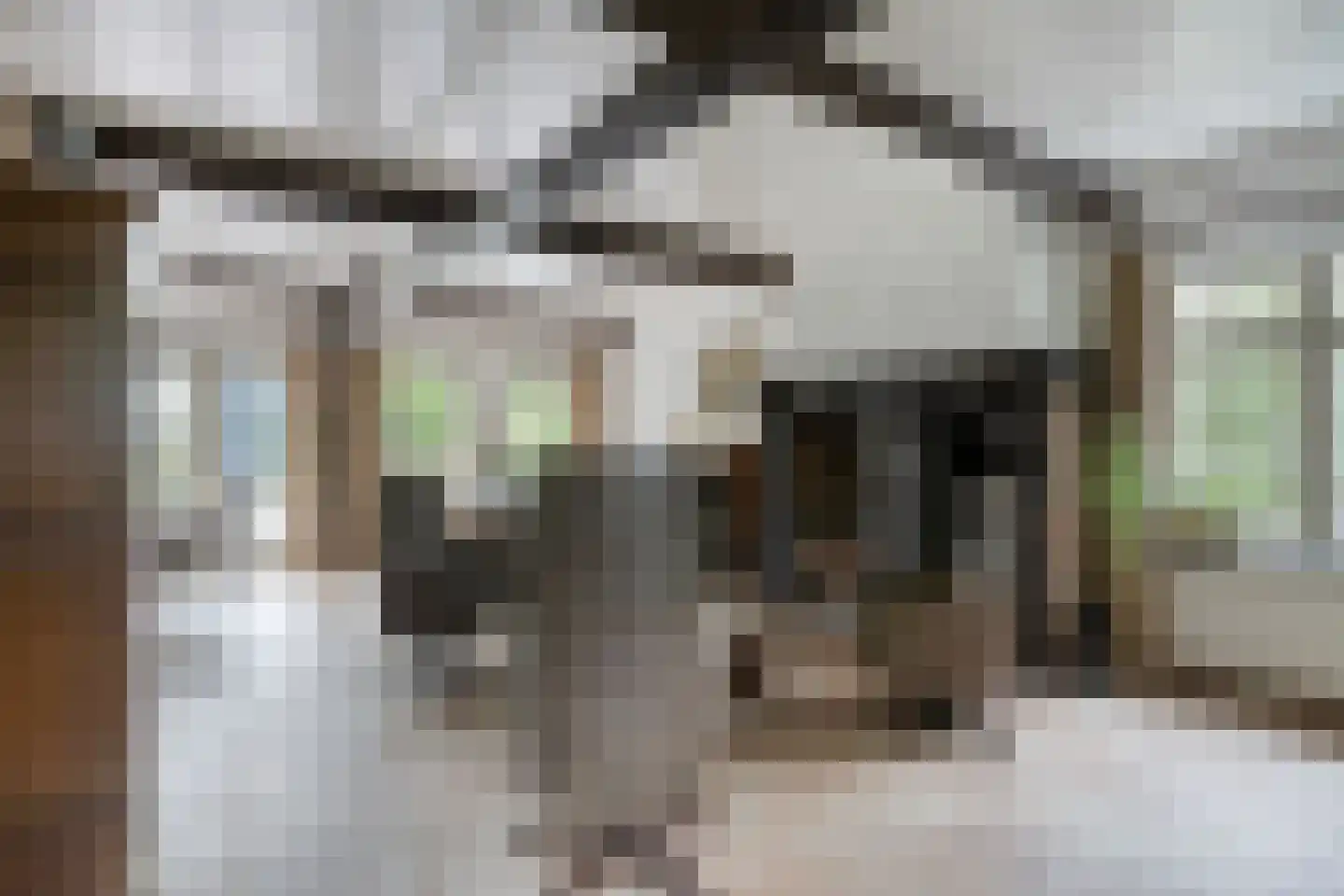Poelstraat 5 Dieden thumbnail 8
