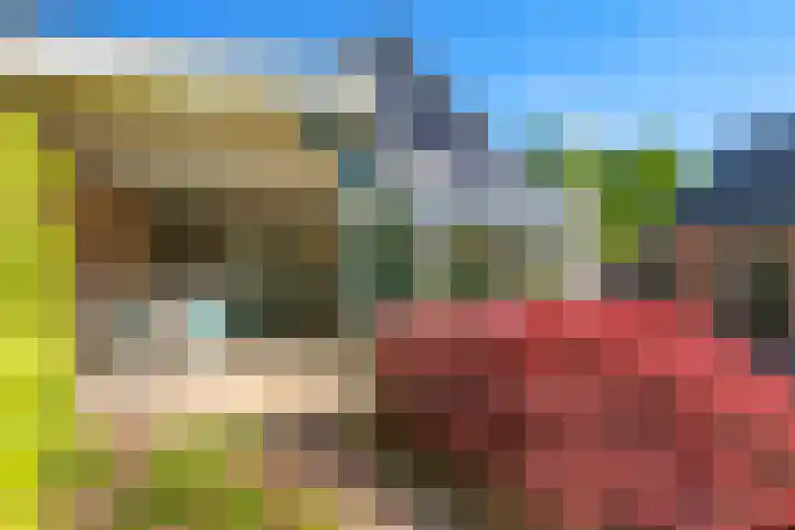 Poelsweg 10 Keijenborg thumbnail 19