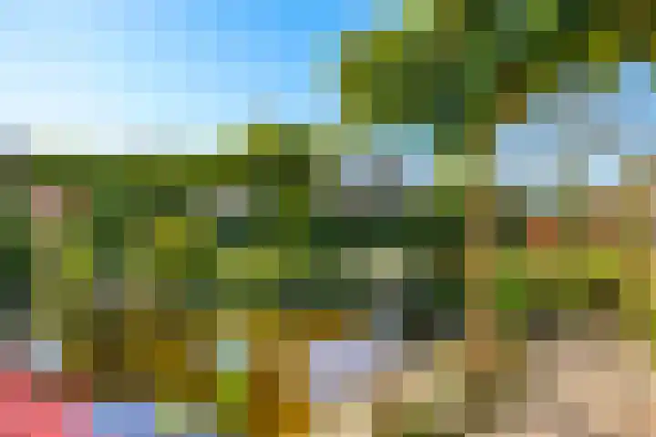 Poelsweg 10 Keijenborg thumbnail 24