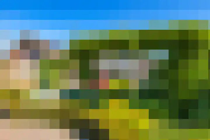 Poelsweg 10 Keijenborg thumbnail 25
