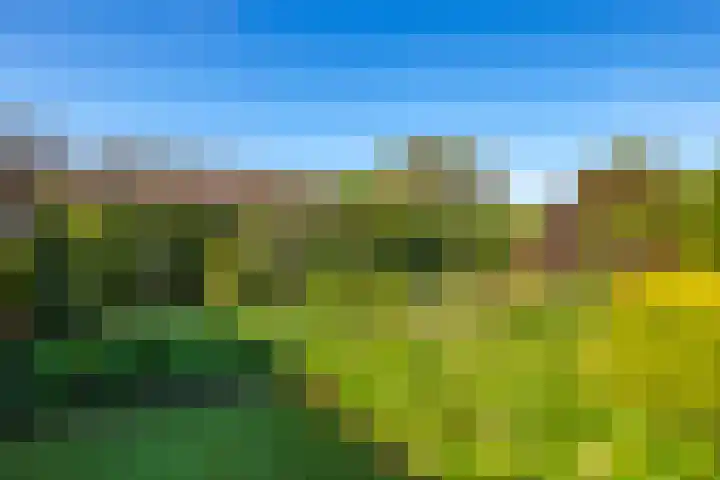 Poelsweg 10 Keijenborg thumbnail 29