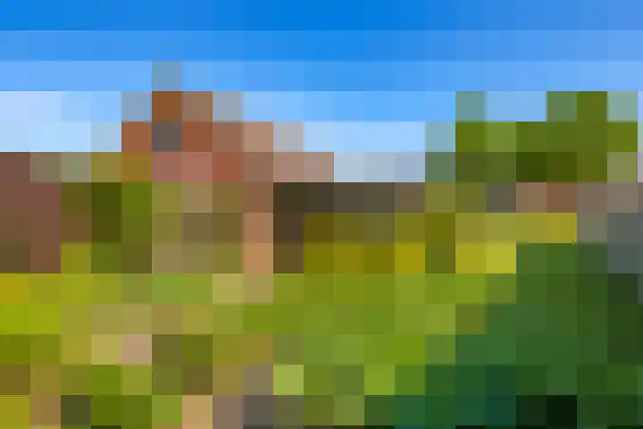 Poelsweg 10 Keijenborg thumbnail 30