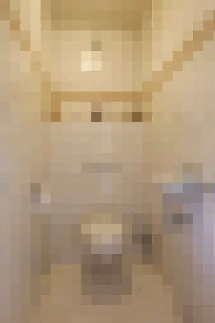 Poelsweg 10 Keijenborg thumbnail 37
