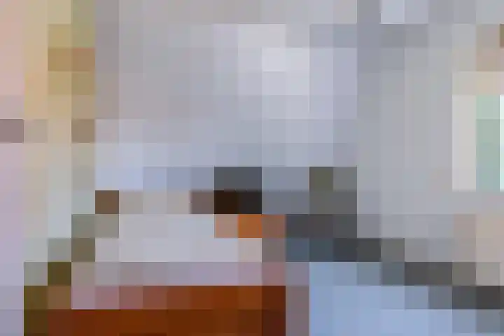 Poelsweg 10 Keijenborg thumbnail 42