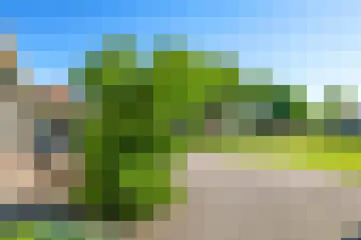 Poelsweg 10 Keijenborg thumbnail 49