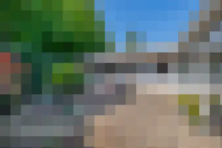 Poelwaai 21 Lisse thumbnail 21